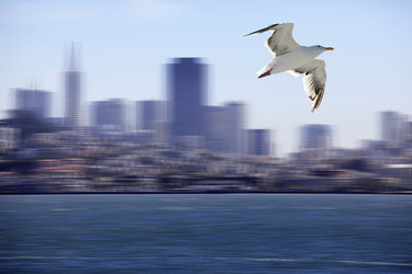 Similar image 1595651