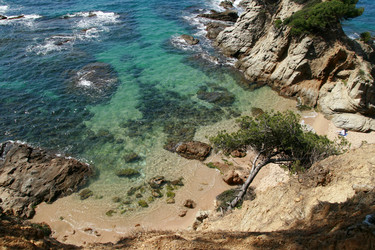 Similar image 1595683