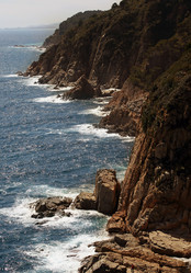 Similar image 1595687