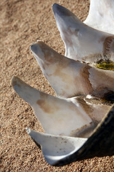 Similar image 1595689