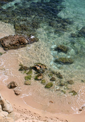 Similar image 1595694