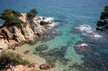 Similar image 1595697