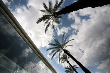 Similar image 1595707