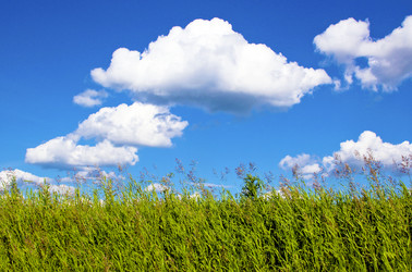 Similar image 1595916