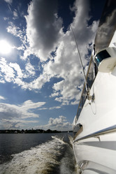 Similar image 1595919