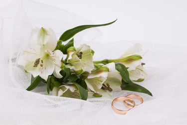 Similar image 1595957