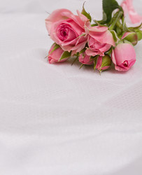 Similar image 1595959