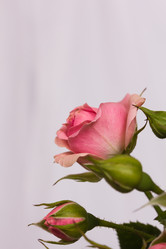 Similar image 1595961