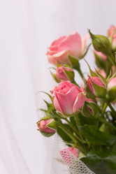 Similar image 1595964