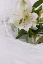 Similar image 1595965