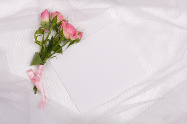 Similar image 1595967