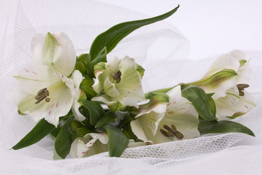 Similar image 1595976