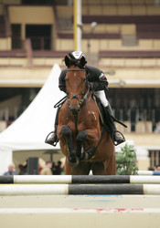 Similar image 1595990