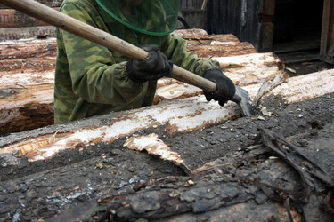 Similar image 1596012