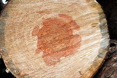 Similar image 1596016