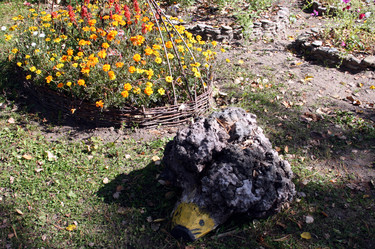 Similar image 1596018