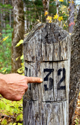 Similar image 1596020