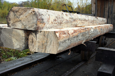 Similar image 1596030