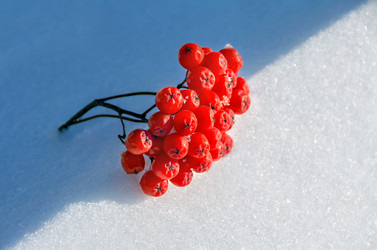 Similar image 1596110