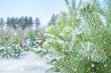 Similar image 1596111