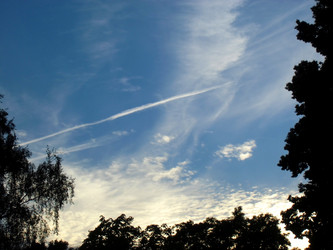 Similar image 1596129