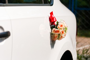 Similar image 1596136