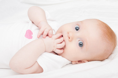 Similar image 1596155