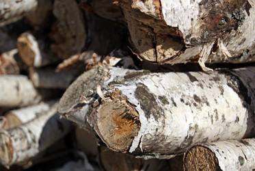 Similar image 1596163