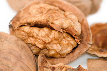 Similar image 1596228