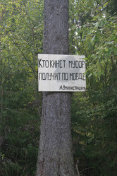 Similar image 1596337