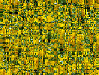 Similar image 1596349