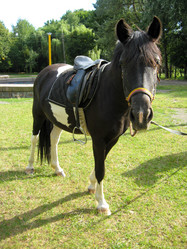 Similar image 1596352