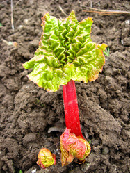 Similar image 1596374