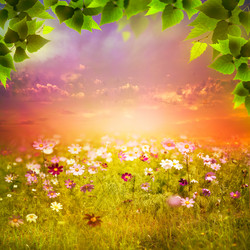 Similar image 1596385