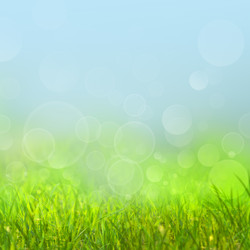 Similar image 1596387