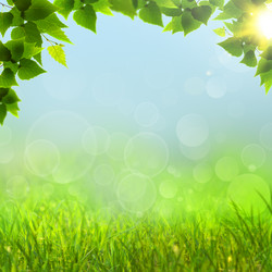 Similar image 1596388