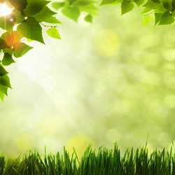 Similar image 1596390