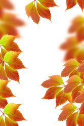 Similar image 1596485