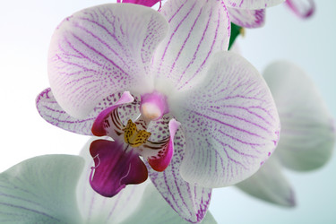 Similar image 1596488