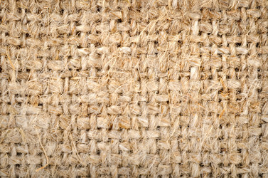 Similar image 1596505