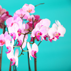 Similar image 1596504