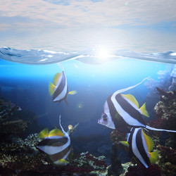 Similar image 1596510