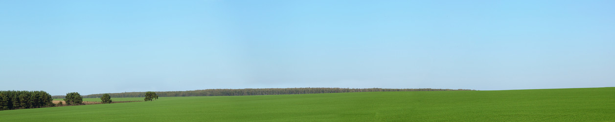 Similar image 1596514