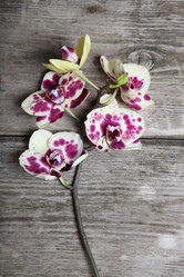 Similar image 1596523