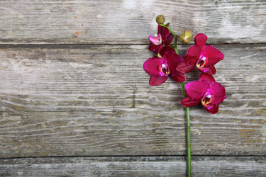 Similar image 1596538