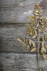 Similar image 1596539