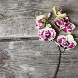 Similar image 1596561