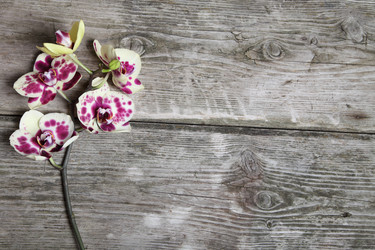 Similar image 1596562