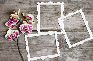 Similar image 1596563