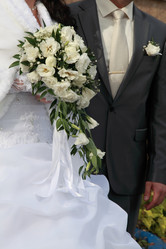 Similar image 1596580